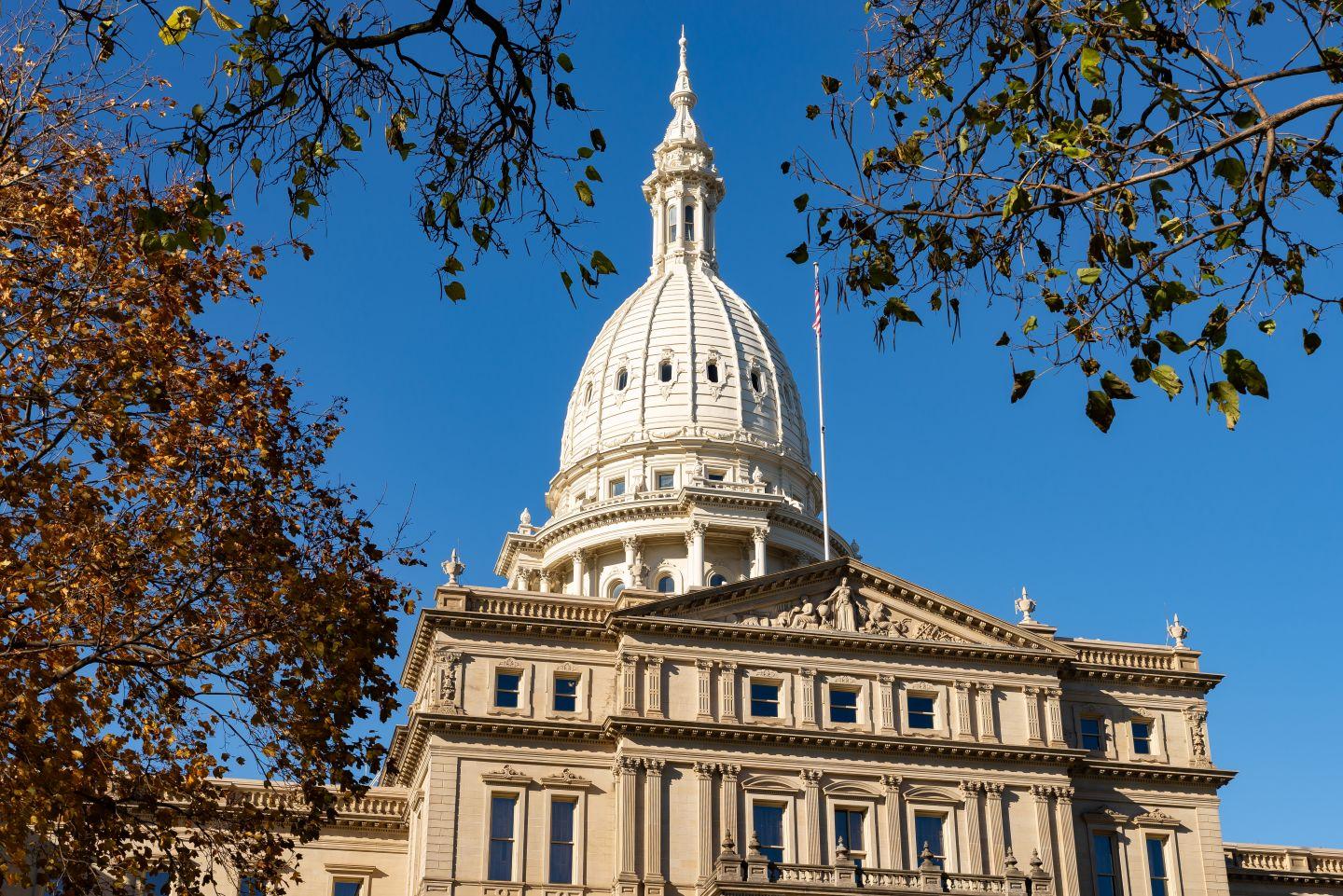 Michigan Rounding Guidance